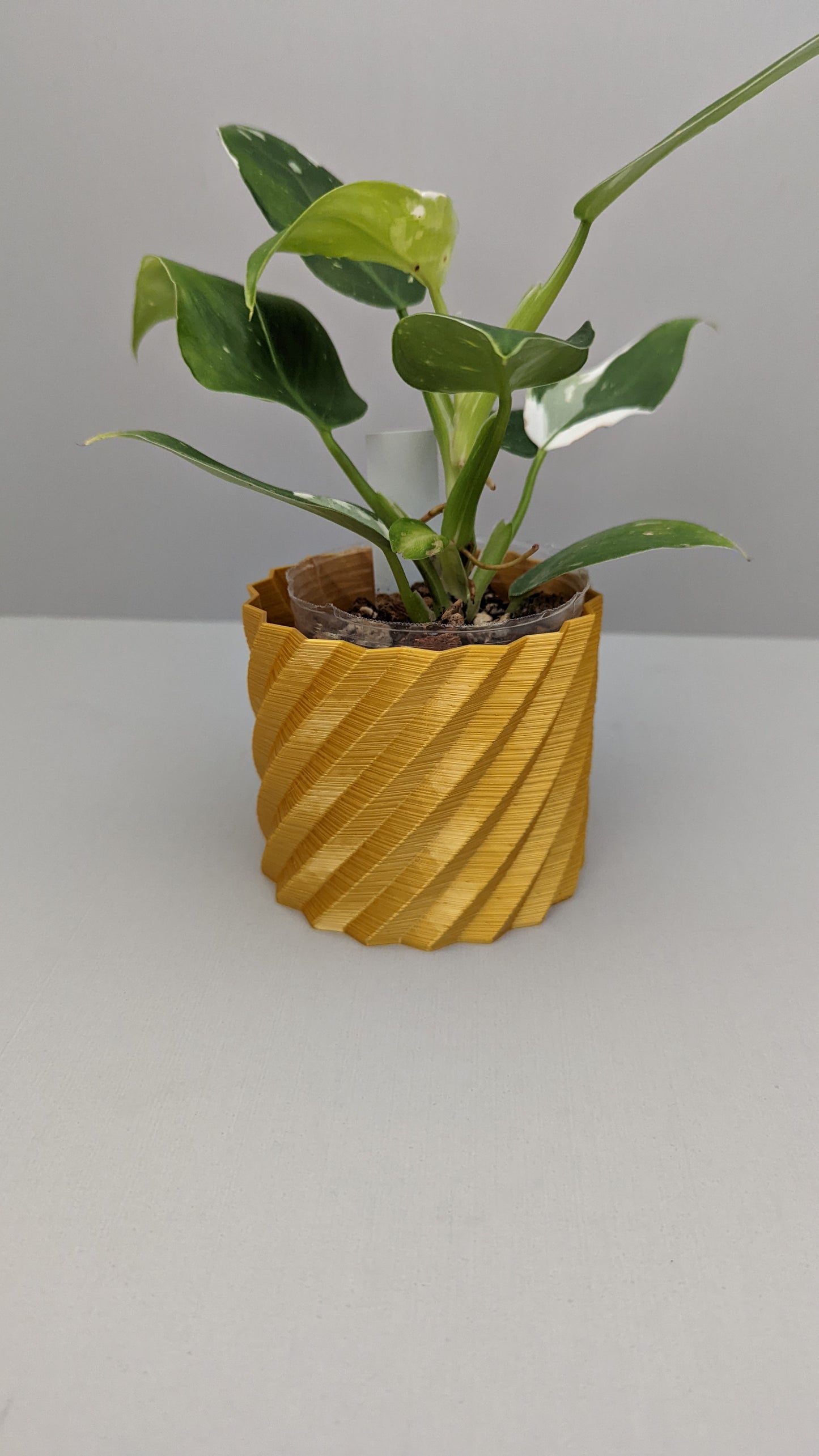 Spiral Pot