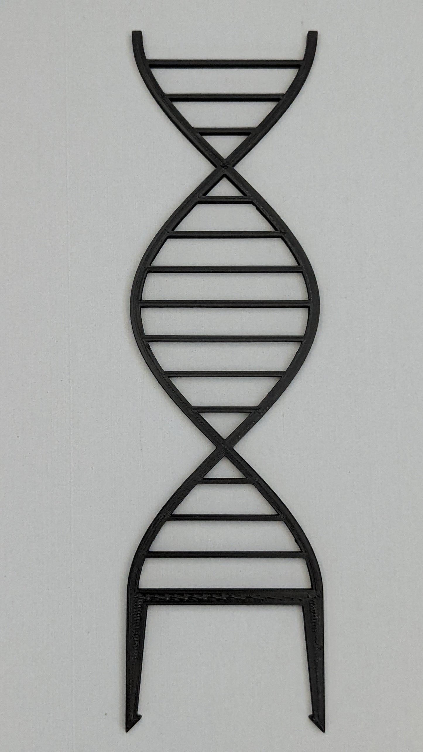 Double Helix Trellis